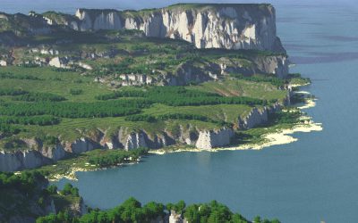 Marland, a realistc  nordic island in the summer